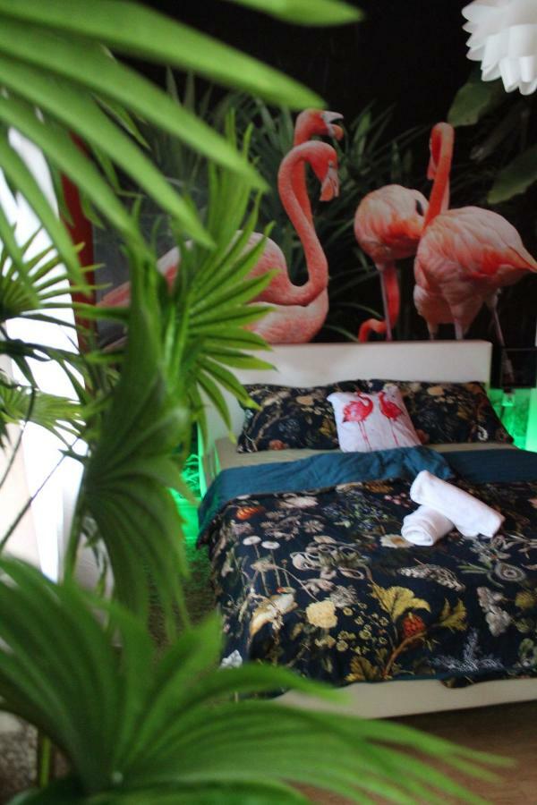 Flamingos Apartman & Fitness Centar Osijek - Blizina Bolnice Kbc โอซีเยก ภายนอก รูปภาพ