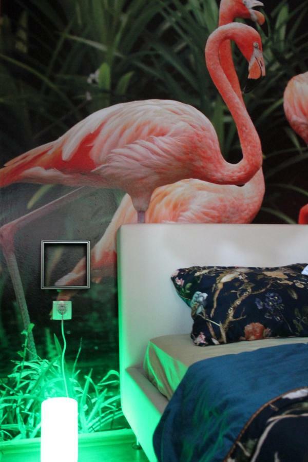 Flamingos Apartman & Fitness Centar Osijek - Blizina Bolnice Kbc โอซีเยก ภายนอก รูปภาพ